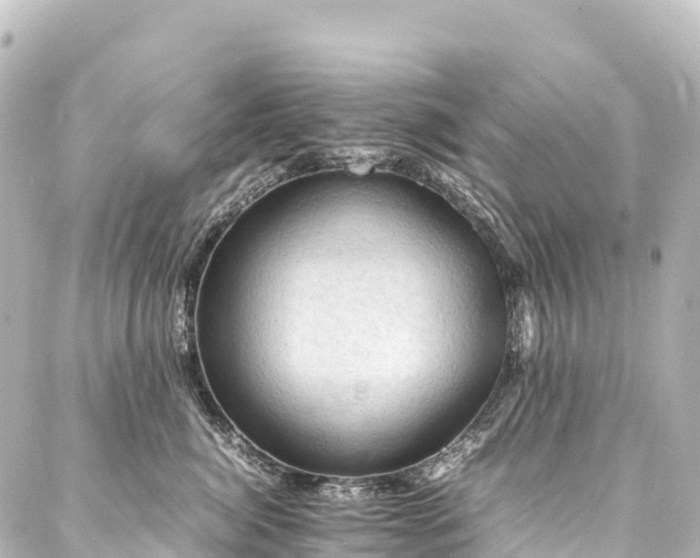 X0000088190764200705151245