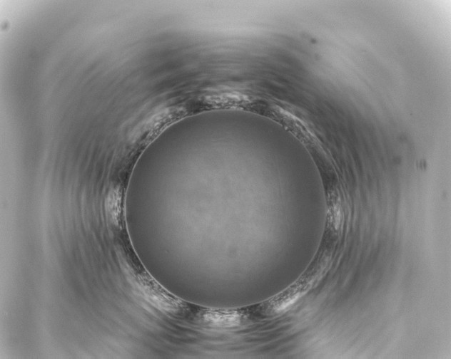X0000088190767200705151245