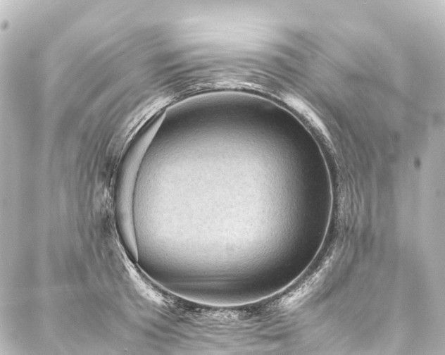 X0000088190801200705151243