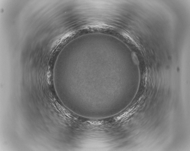 X0000088190822200705151242
