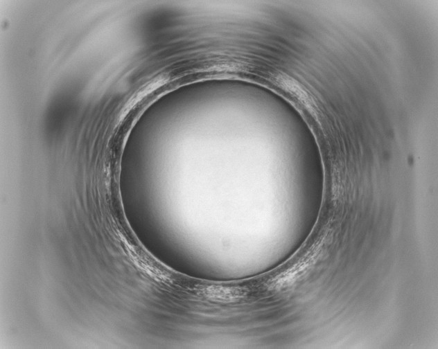 X0000088190827200705151242