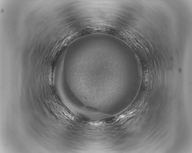 X0000088190916200705151241