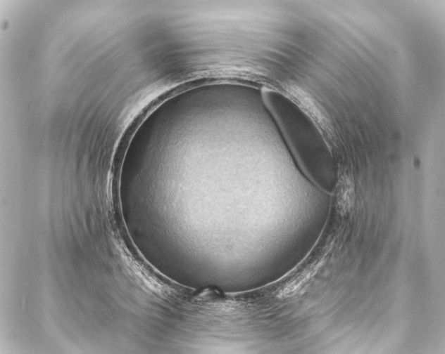 X0000088190932200705151241
