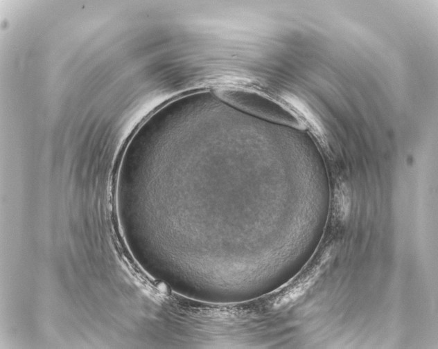 X0000088190948200705151241