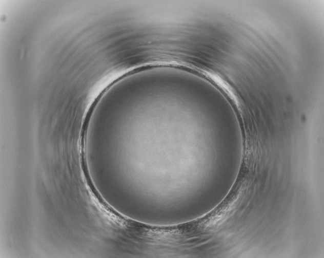 X0000088190951200705151241