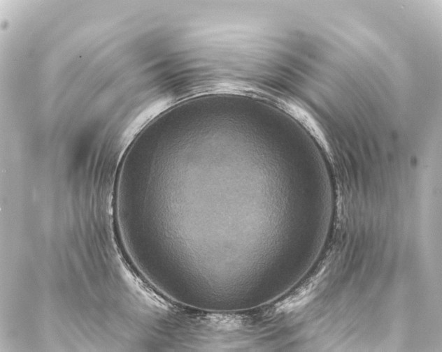 X0000088190954200705151241