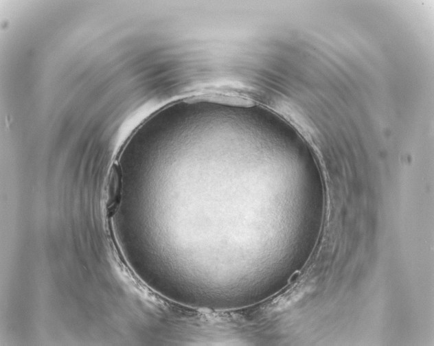 X0000088190960200705151242