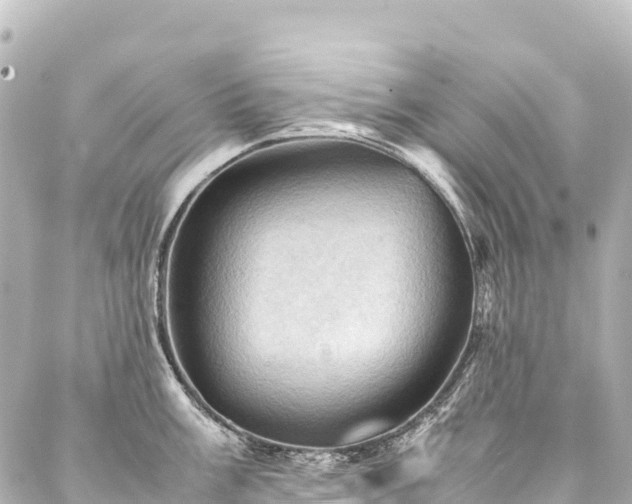 X0000088191003200705151240