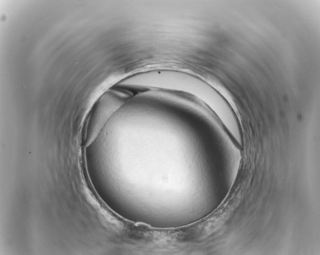 X0000088191005200705151240