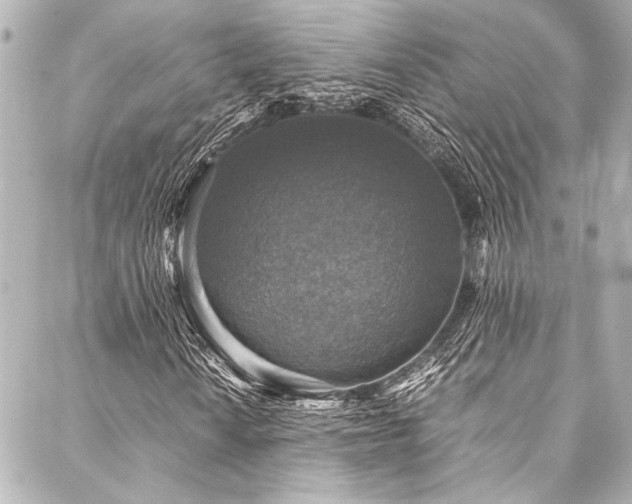 X0000088191010200705151239