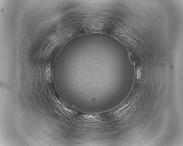 X0000088191011200705151239