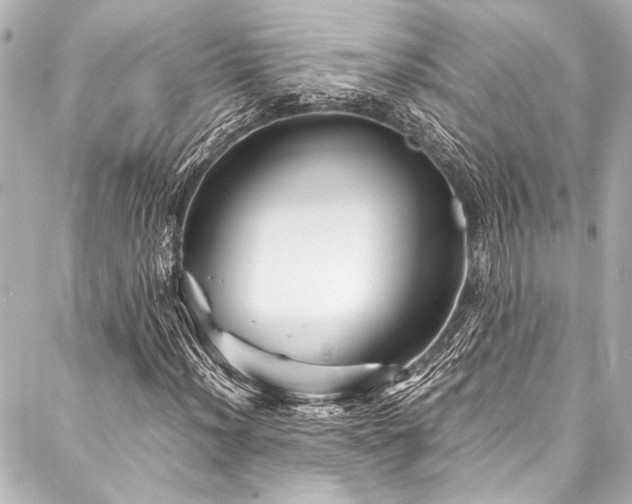 X0000088191012200705151239