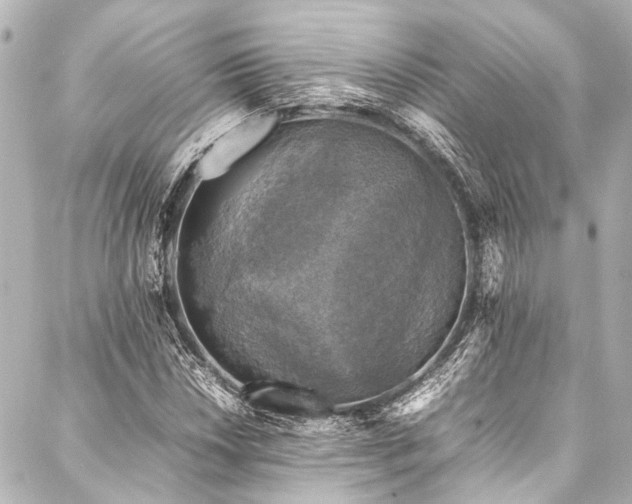 X0000088191018200705151239