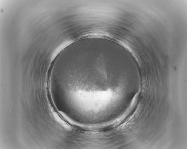 X0000088191042200705151240