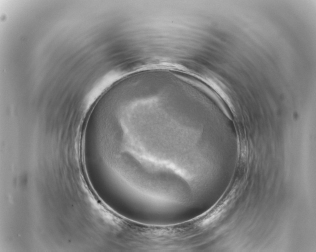X0000088191054200705151240