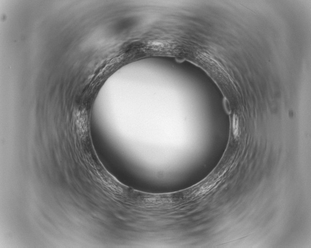 X0000088191107200705151238