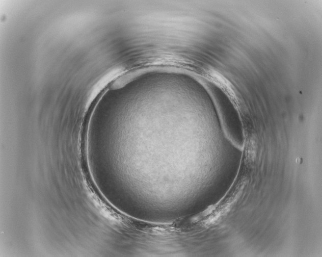 X0000088191138200705151238