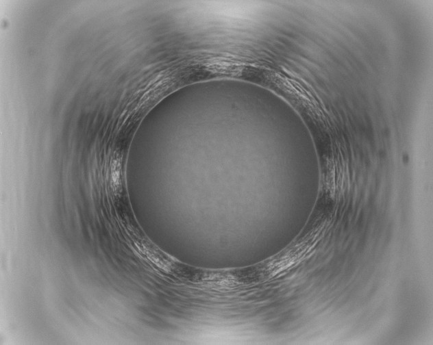 X0000088191154200705151238