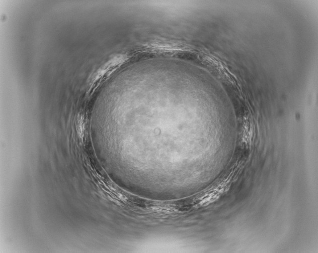 X0000088191157200705151238