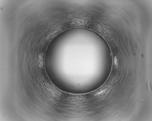 X0000088191203200705151236