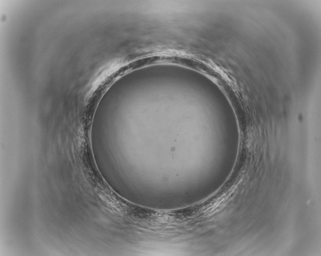 X0000088191263200705151236