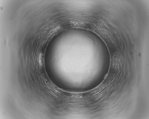 X0000088191346200705151235