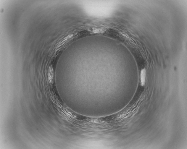 X0000088191443200705151233