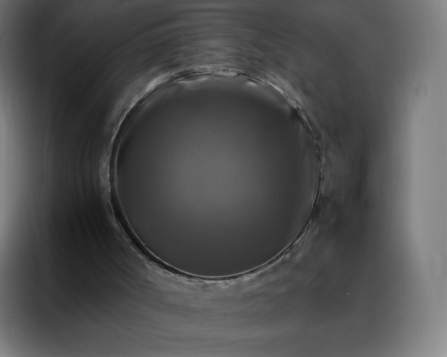 X0000088190002200705221712