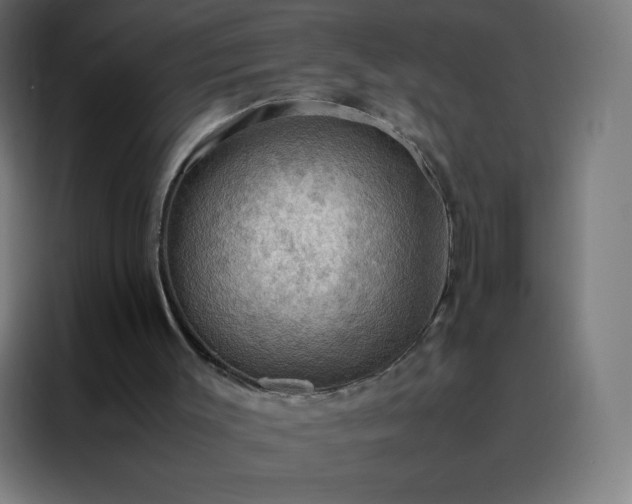X0000088190003200705221712