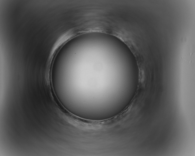 X0000088190004200705221712