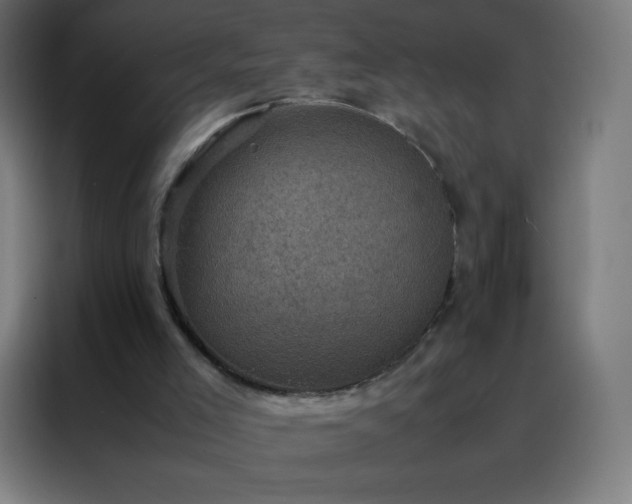 X0000088190005200705221712