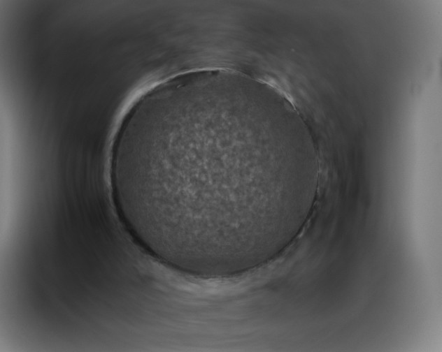 X0000088190006200705221712