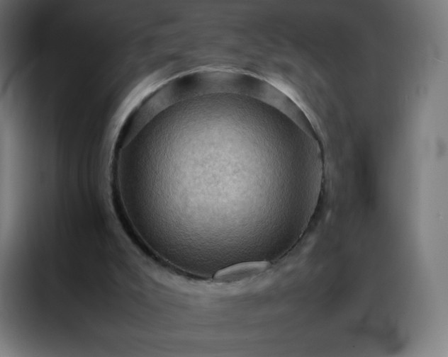 X0000088190007200705221712