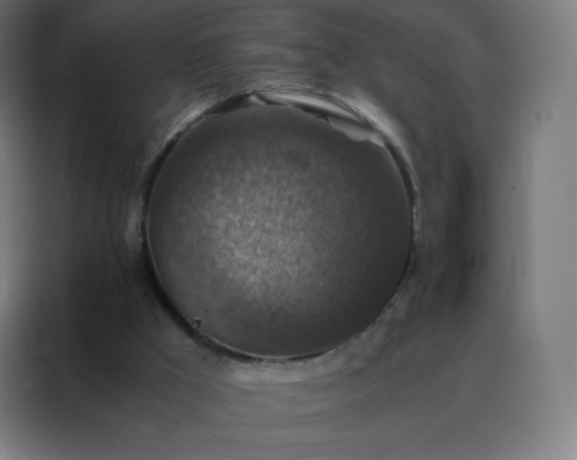 X0000088190009200705221712