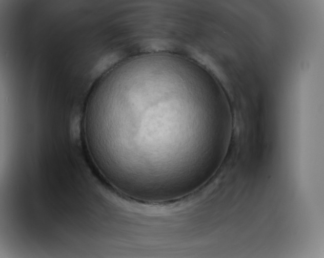X0000088190010200705221712