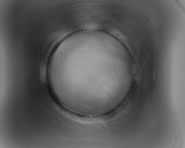 X0000088190012200705221712