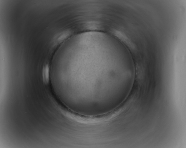 X0000088190014200705221711