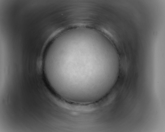X0000088190016200705221711