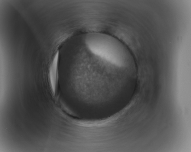 X0000088190017200705221711