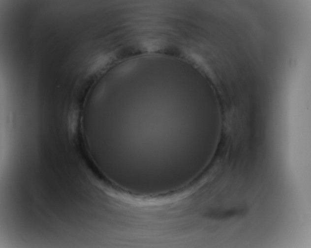 X0000088190018200705221711