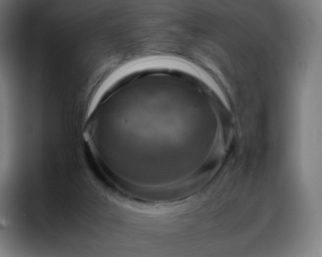 X0000088190019200705221711