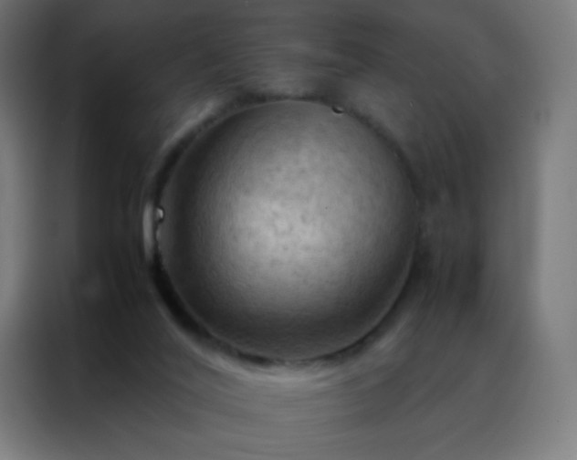 X0000088190020200705221711