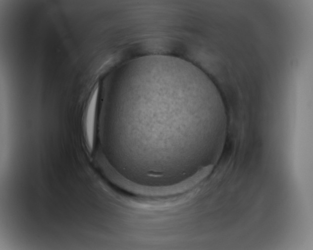 X0000088190021200705221711
