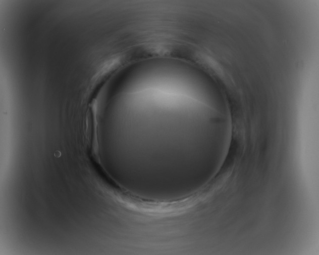 X0000088190023200705221711