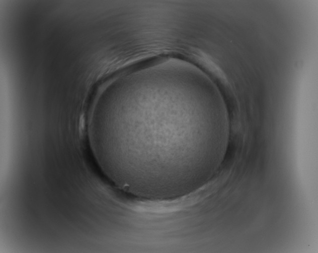 X0000088190025200705221711