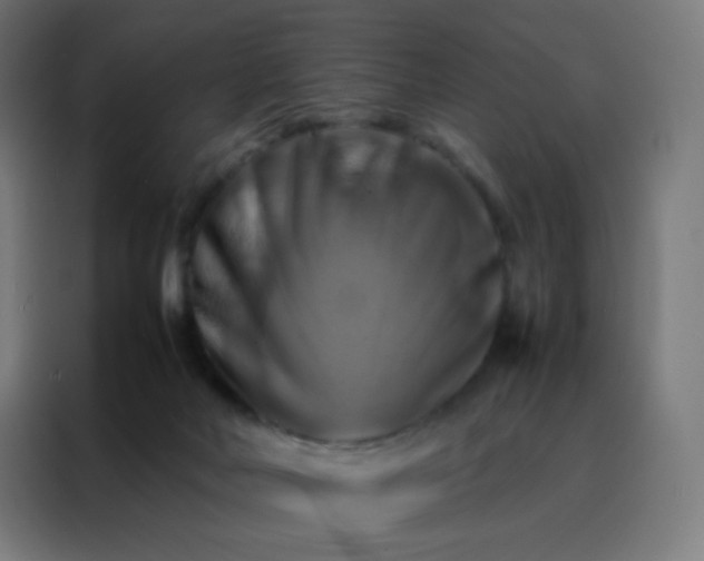 X0000088190026200705221711