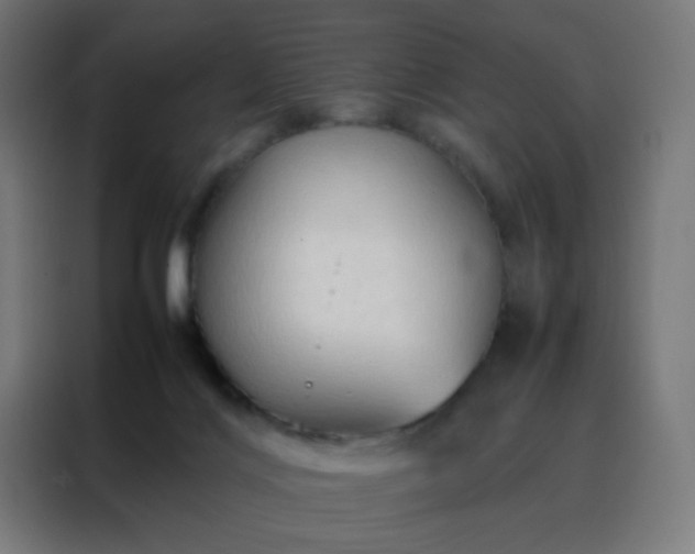 X0000088190028200705221711