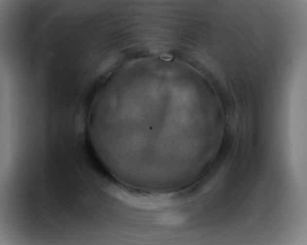 X0000088190032200705221711