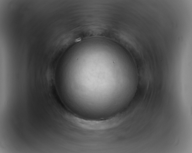X0000088190034200705221711
