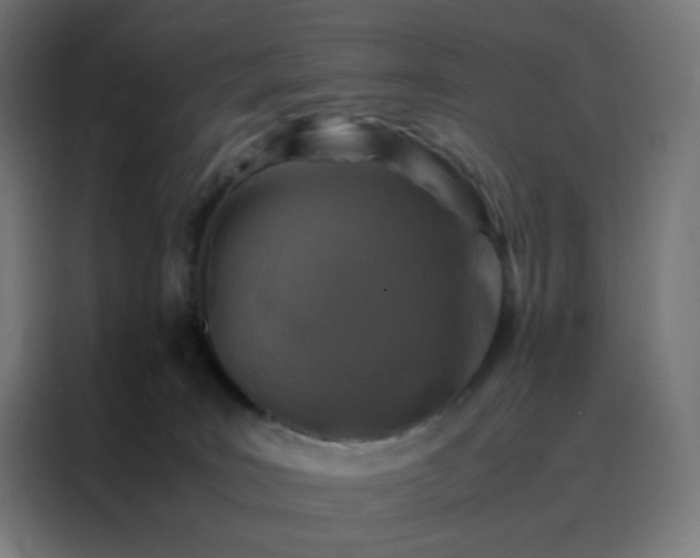 X0000088190035200705221711